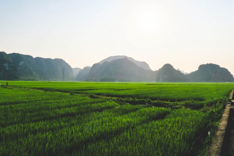 Elio Heres Ninh Binh-6