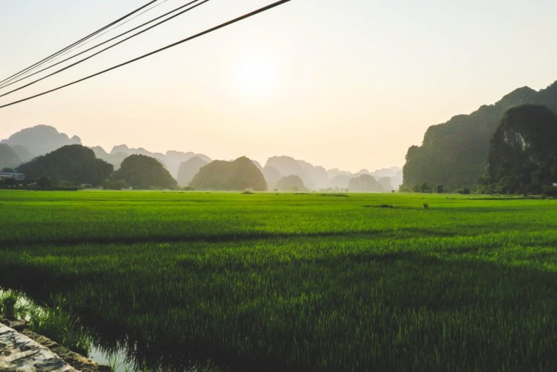 Elio Heres Ninh Binh-7