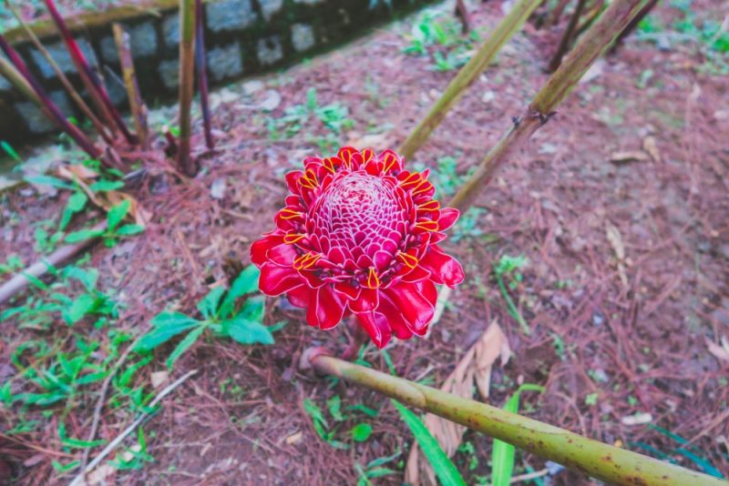 Elio Heres in Vietnam Dalat-7